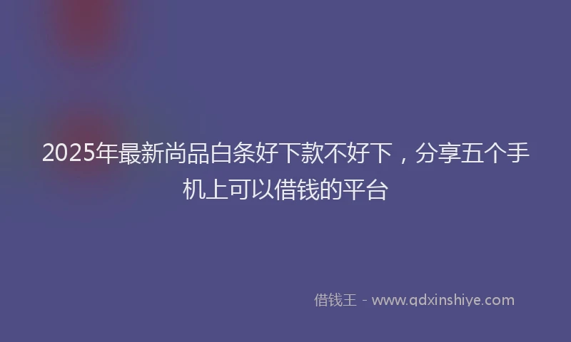 2025年最新尚品白条好下款不好下，分享五个手机上可以借钱的平台