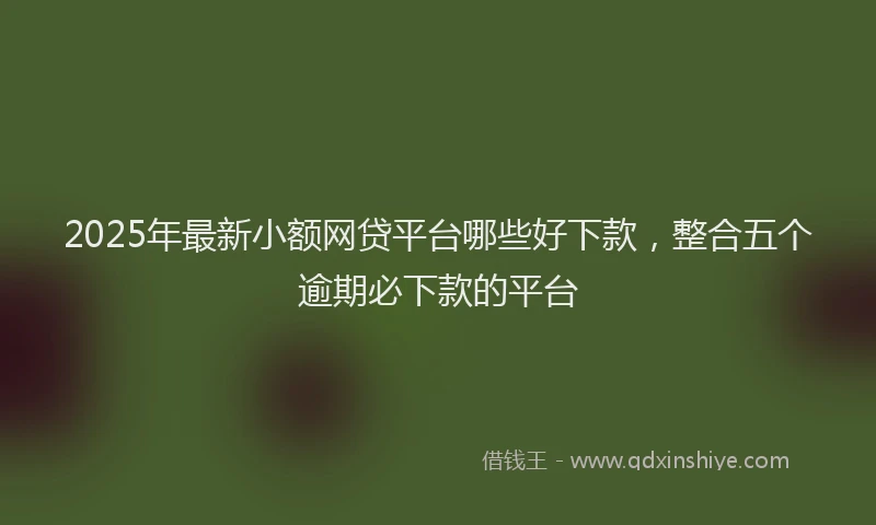2025年最新小额网贷平台哪些好下款，整合五个逾期必下款的平台