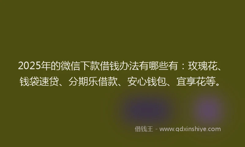 2025年的微信下款借钱办法有哪些有：玫瑰花、钱袋速贷、分期乐借款、安心钱包、宜享花等。