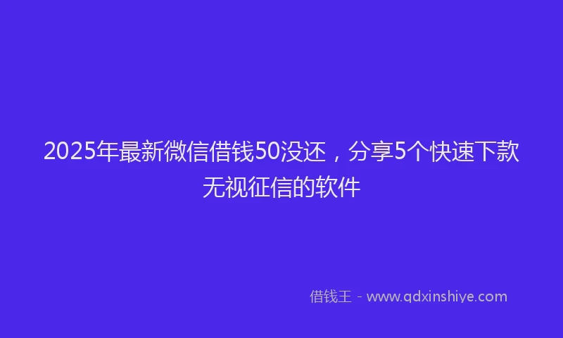 2025年最新微信借钱50没还，分享5个快速下款无视征信的软件