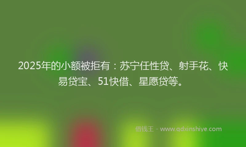 2025年的小额被拒有：苏宁任性贷、射手花、快易贷宝、51快借、星愿贷等。
