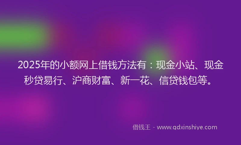 2025年的小额网上借钱方法有：现金小站、现金秒贷易行、沪商财富、新一花、信贷钱包等。