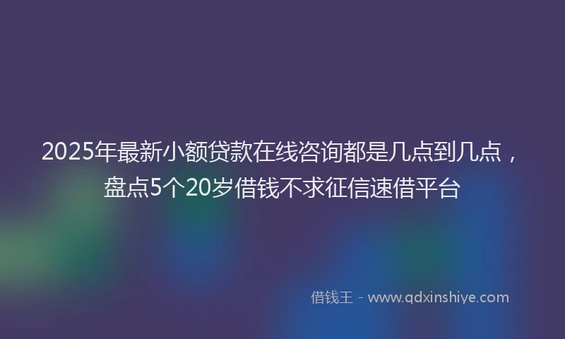 2025年最新小额贷款在线咨询都是几点到几点，盘点5个20岁借钱不求征信速借平台