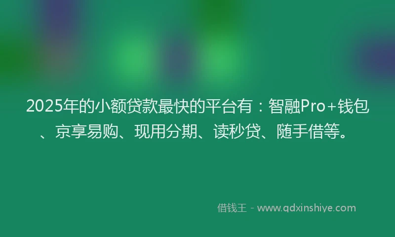 2025年的小额贷款最快的平台有：智融Pro+钱包、京享易购、现用分期、读秒贷、随手借等。