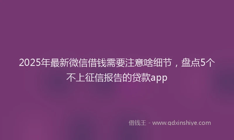 2025年最新微信借钱需要注意啥细节，盘点5个不上征信报告的贷款app