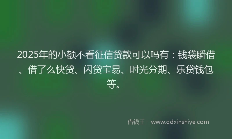 2025年的小额不看征信贷款可以吗有：钱袋瞬借、借了么快贷、闪贷宝易、时光分期、乐贷钱包等。