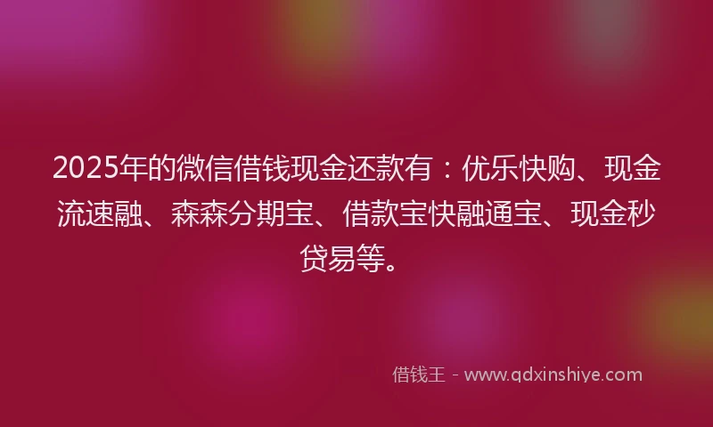 2025年的微信借钱现金还款有：优乐快购、现金流速融、森森分期宝、借款宝快融通宝、现金秒贷易等。