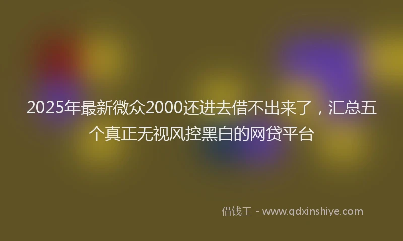 2025年最新微众2000还进去借不出来了，汇总五个真正无视风控黑白的网贷平台