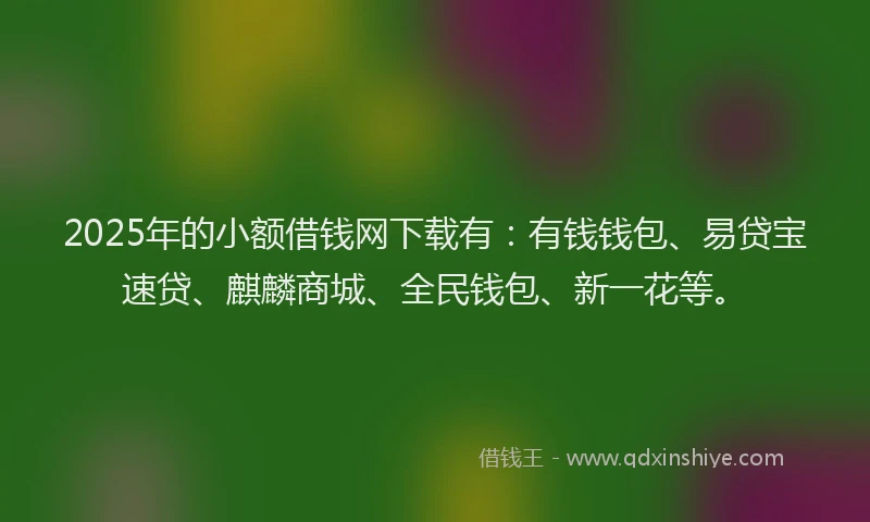 2025年的小额借钱网下载有：有钱钱包、易贷宝速贷、麒麟商城、全民钱包、新一花等。