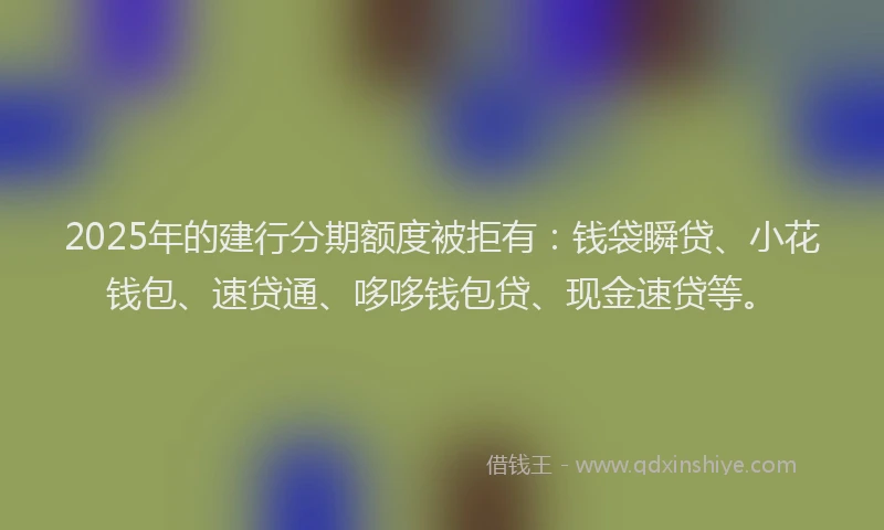 2025年的建行分期额度被拒有：钱袋瞬贷、小花钱包、速贷通、哆哆钱包贷、现金速贷等。