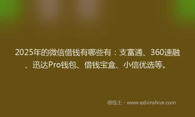 2025年的微信借钱有哪些有：支富通、360速融、迅达Pro钱包、借钱宝盒、小信优选等。