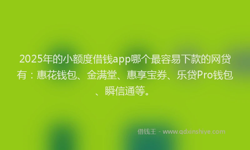 2025年的小额度借钱app哪个最容易下款的网贷有：惠花钱包、金满堂、惠享宝券、乐贷Pro钱包、瞬信通等。