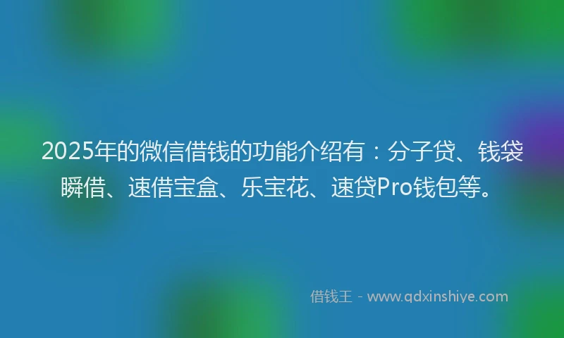 2025年的微信借钱的功能介绍有：分子贷、钱袋瞬借、速借宝盒、乐宝花、速贷Pro钱包等。