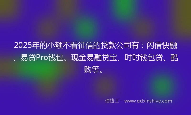 2025年的小额不看征信的贷款公司有：闪借快融、易贷Pro钱包、现金易融贷宝、时时钱包贷、酷购等。