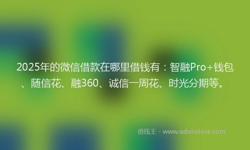 2025年的微信借款在哪里借钱有：智融Pro+钱包、随信花、融360、诚信一周花、时光分期等。