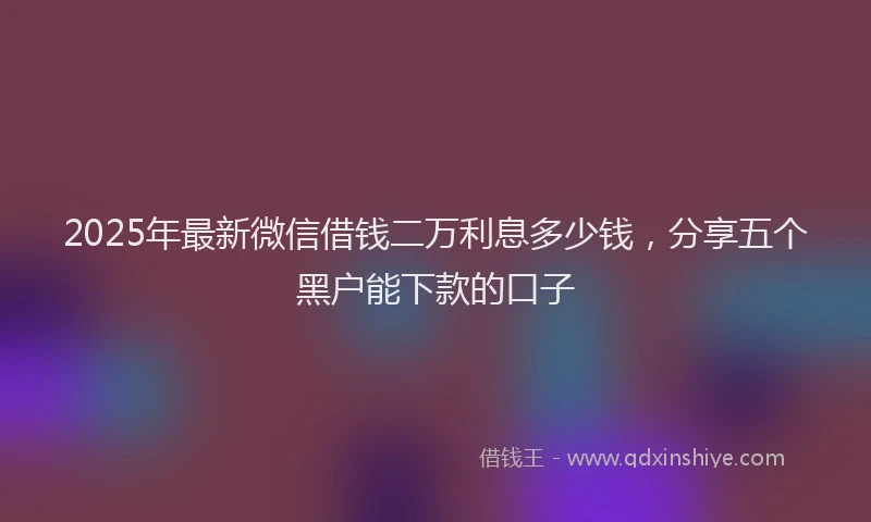 2025年最新微信借钱二万利息多少钱，分享五个黑户能下款的口子
