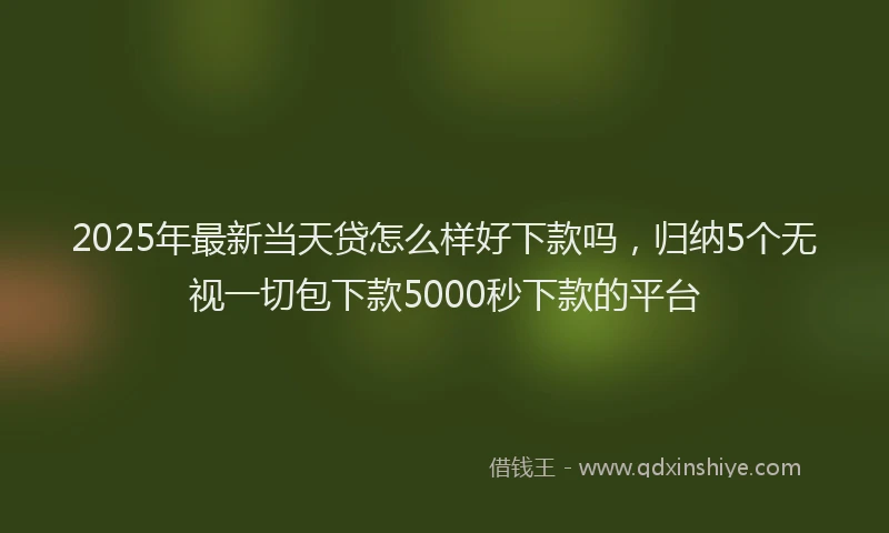2025年最新当天贷怎么样好下款吗，归纳5个无视一切包下款5000秒下款的平台