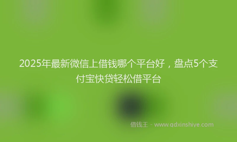 2025年最新微信上借钱哪个平台好，盘点5个支付宝快贷轻松借平台