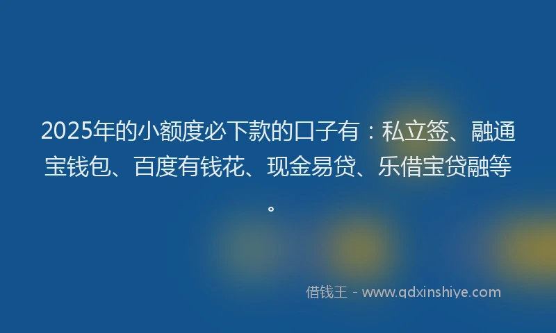 2025年的小额度必下款的口子有：私立签、融通宝钱包、百度有钱花、现金易贷、乐借宝贷融等。