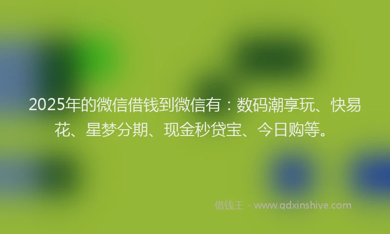 2025年的微信借钱到微信有：数码潮享玩、快易花、星梦分期、现金秒贷宝、今日购等。