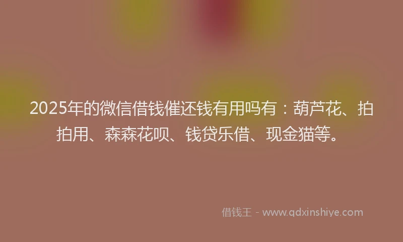 2025年的微信借钱催还钱有用吗有：葫芦花、拍拍用、森森花呗、钱贷乐借、现金猫等。