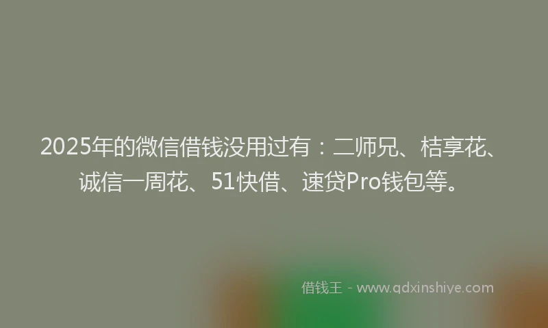 2025年的微信借钱没用过有：二师兄、桔享花、诚信一周花、51快借、速贷Pro钱包等。
