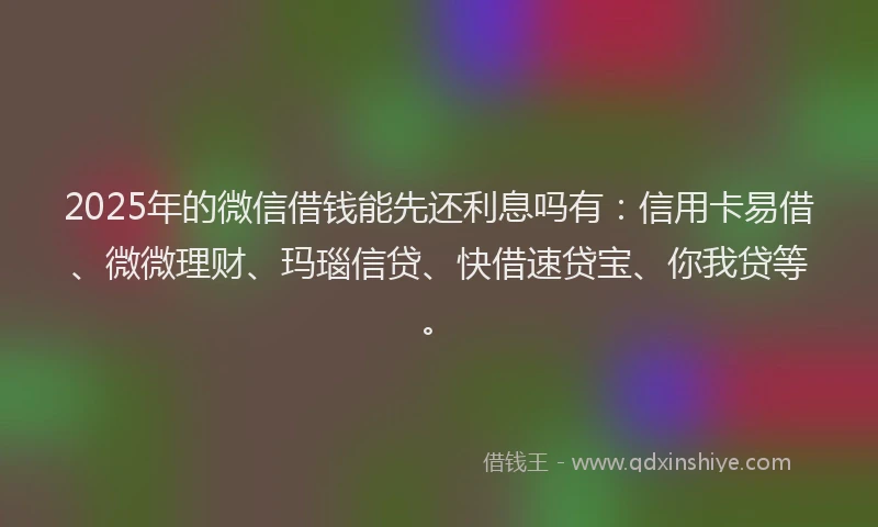 2025年的微信借钱能先还利息吗有：信用卡易借、微微理财、玛瑙信贷、快借速贷宝、你我贷等。