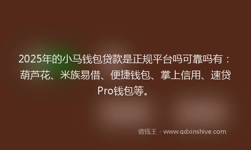2025年的小马钱包贷款是正规平台吗可靠吗有：葫芦花、米族易借、便捷钱包、掌上信用、速贷Pro钱包等。