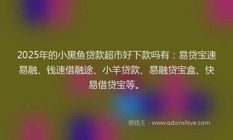 2025年的小黑鱼贷款超市好下款吗有：易贷宝速易融、钱速借融途、小羊贷款、易融贷宝盒、快易借贷宝等。