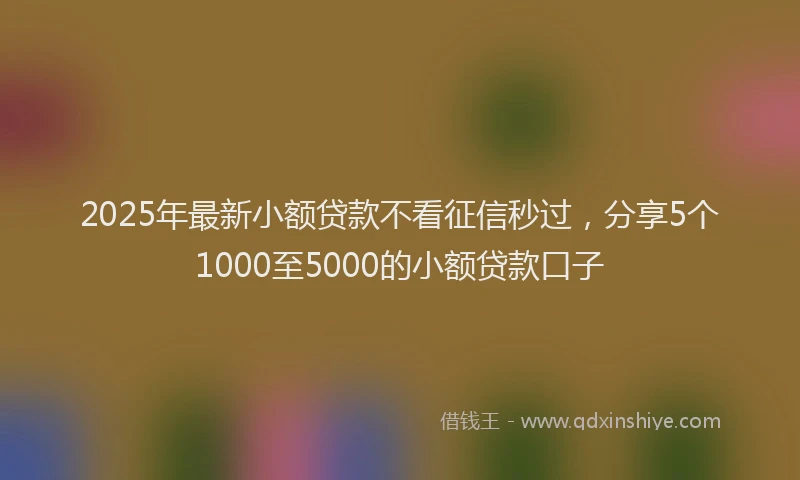 2025年最新小额贷款不看征信秒过，分享5个1000至5000的小额贷款口子