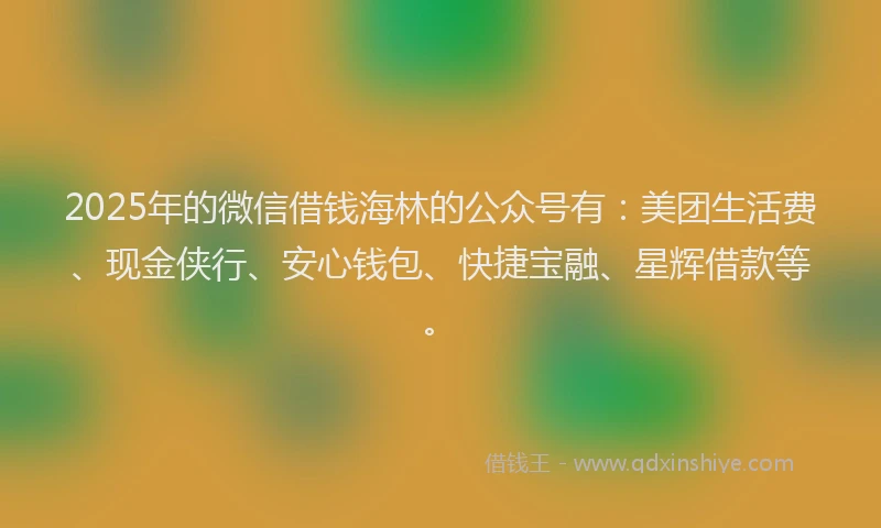 2025年的微信借钱海林的公众号有：美团生活费、现金侠行、安心钱包、快捷宝融、星辉借款等。