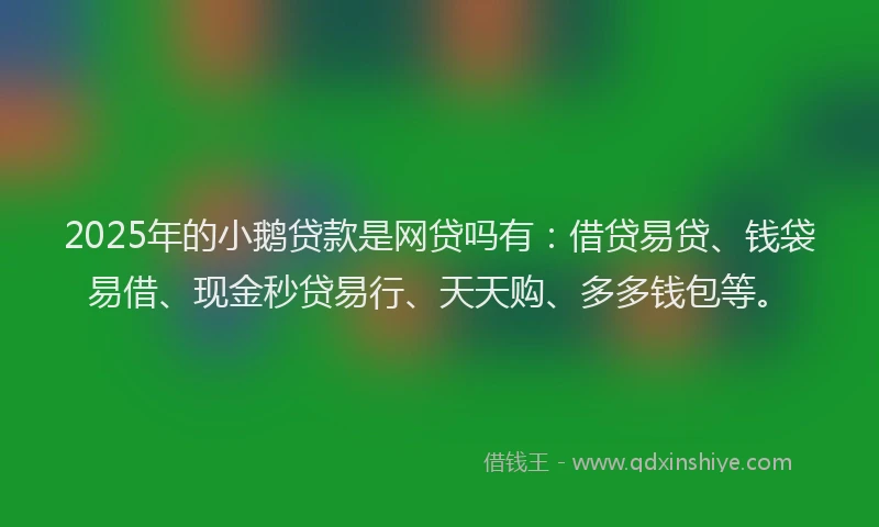 2025年的小鹅贷款是网贷吗有：借贷易贷、钱袋易借、现金秒贷易行、天天购、多多钱包等。