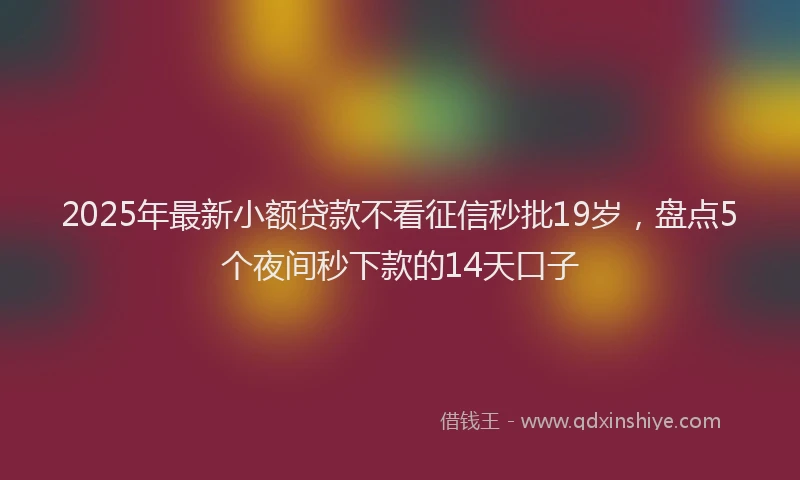 2025年最新小额贷款不看征信秒批19岁，盘点5个夜间秒下款的14天口子