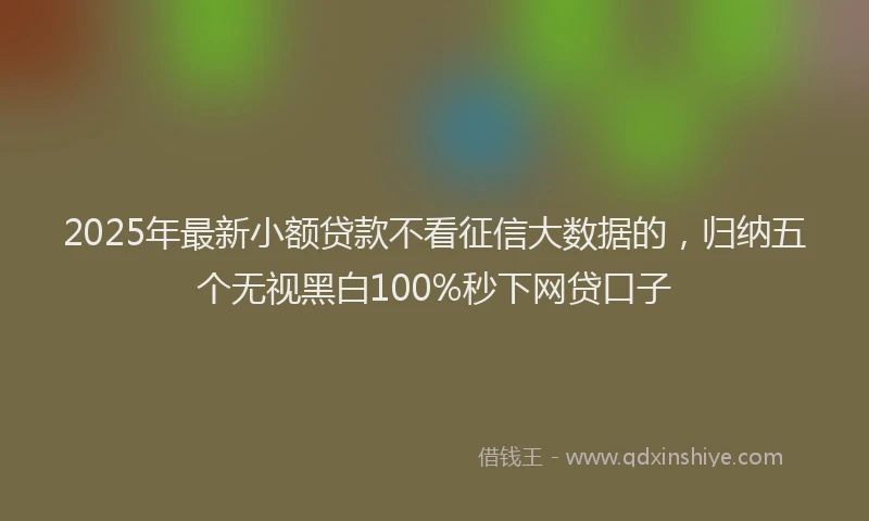 2025年最新小额贷款不看征信大数据的，归纳五个无视黑白100%秒下网贷口子