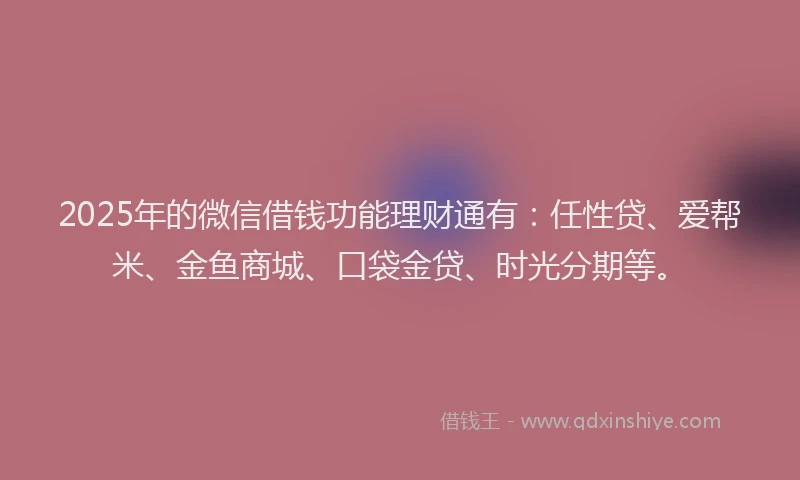 2025年的微信借钱功能理财通有：任性贷、爱帮米、金鱼商城、口袋金贷、时光分期等。