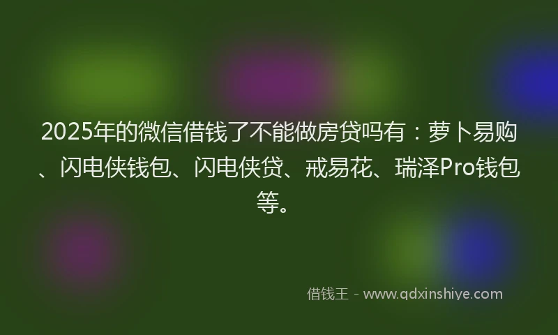 2025年的微信借钱了不能做房贷吗有：萝卜易购、闪电侠钱包、闪电侠贷、戒易花、瑞泽Pro钱包等。