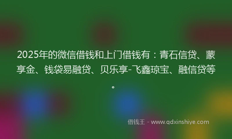 2025年的微信借钱和上门借钱有：青石信贷、蒙享金、钱袋易融贷、贝乐享-飞鑫琼宝、融信贷等。