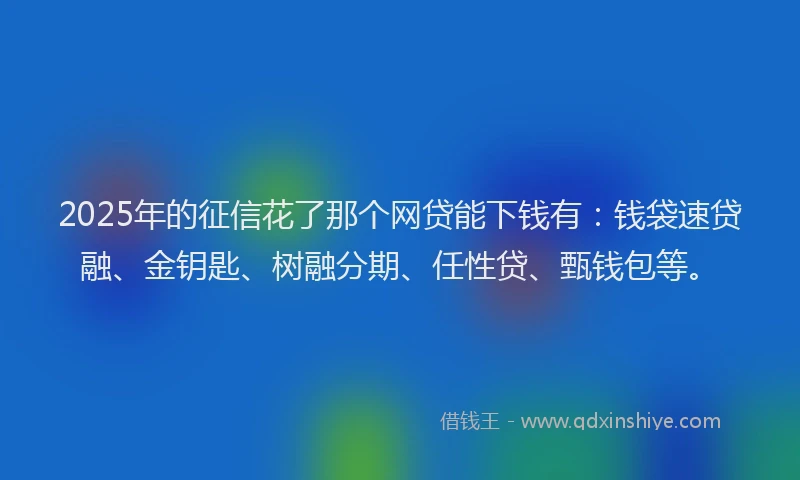 2025年的征信花了那个网贷能下钱有：钱袋速贷融、金钥匙、树融分期、任性贷、甄钱包等。