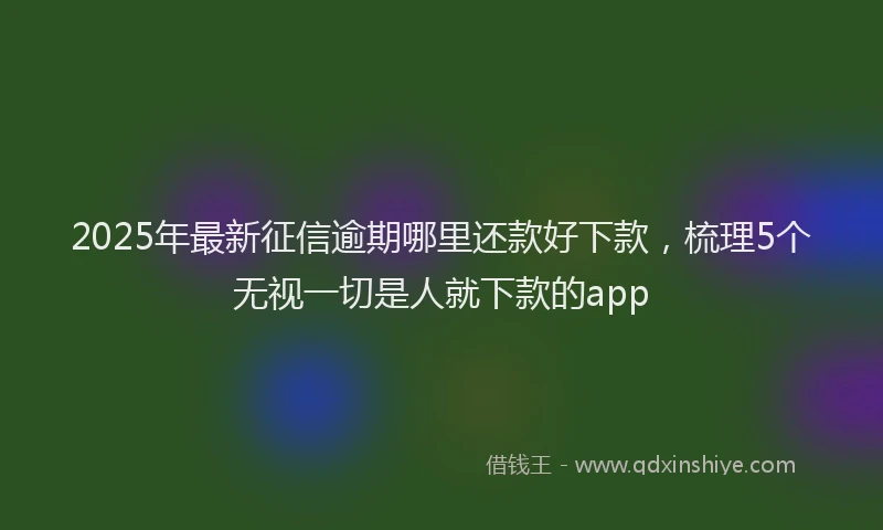 2025年最新征信逾期哪里还款好下款，梳理5个无视一切是人就下款的app