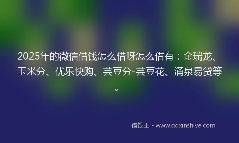 2025年的微信借钱怎么借呀怎么借有：金瑞龙、玉米分、优乐快购、芸豆分-芸豆花、涌泉易贷等。