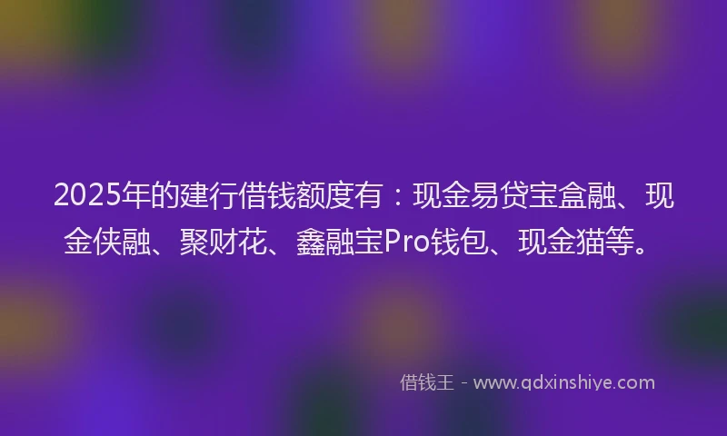 2025年的建行借钱额度有：现金易贷宝盒融、现金侠融、聚财花、鑫融宝Pro钱包、现金猫等。