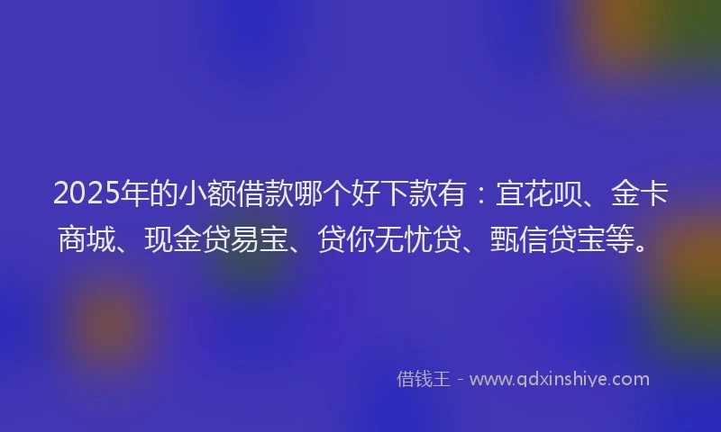 2025年的小额借款哪个好下款有：宜花呗、金卡商城、现金贷易宝、贷你无忧贷、甄信贷宝等。