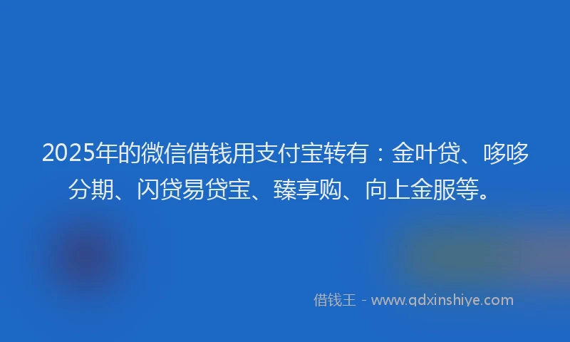 2025年的微信借钱用支付宝转有：金叶贷、哆哆分期、闪贷易贷宝、臻享购、向上金服等。