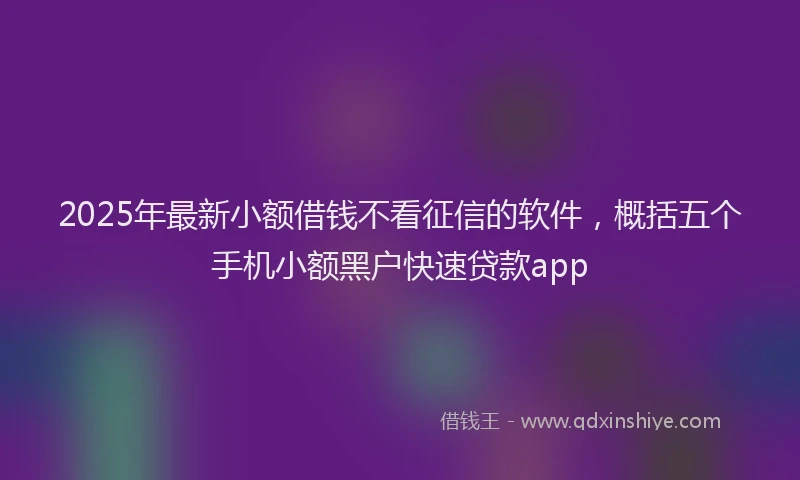 2025年最新小额借钱不看征信的软件，概括五个手机小额黑户快速贷款app
