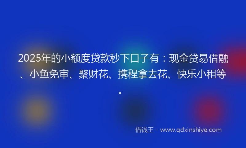 2025年的小额度贷款秒下口子有：现金贷易借融、小鱼免审、聚财花、携程拿去花、快乐小租等。