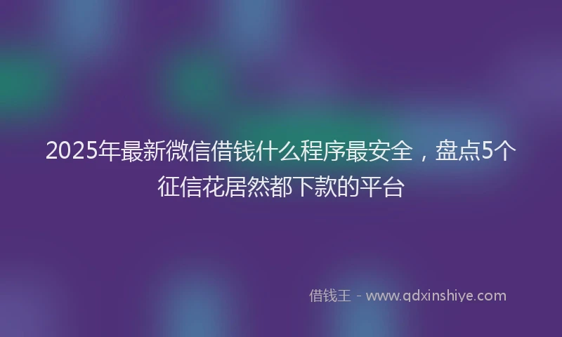 2025年最新微信借钱什么程序最安全，盘点5个征信花居然都下款的平台