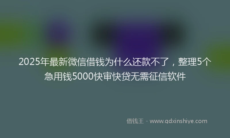 2025年最新微信借钱为什么还款不了，整理5个急用钱5000快审快贷无需征信软件