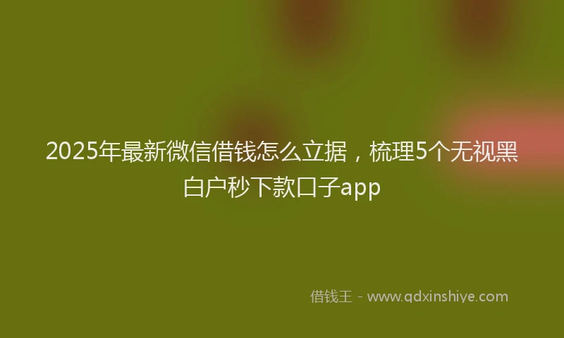 2025年最新微信借钱怎么立据，梳理5个无视黑白户秒下款口子app