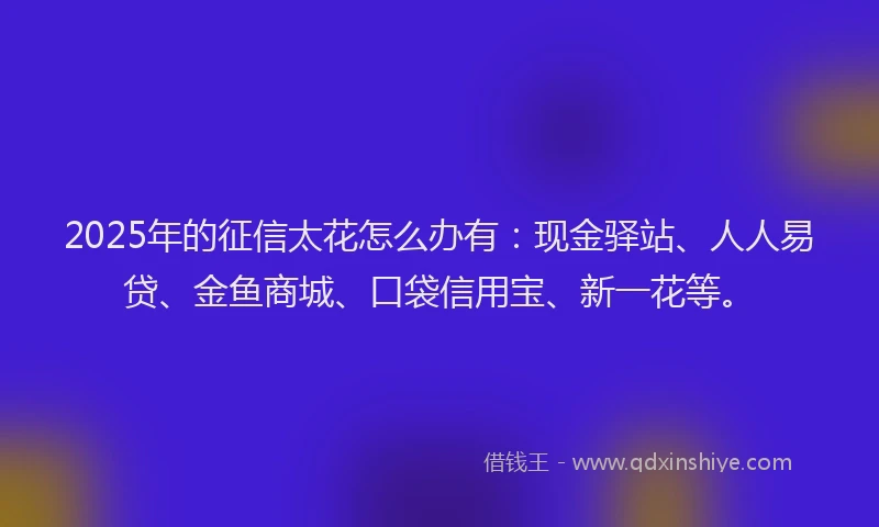 2025年的征信太花怎么办有：现金驿站、人人易贷、金鱼商城、口袋信用宝、新一花等。