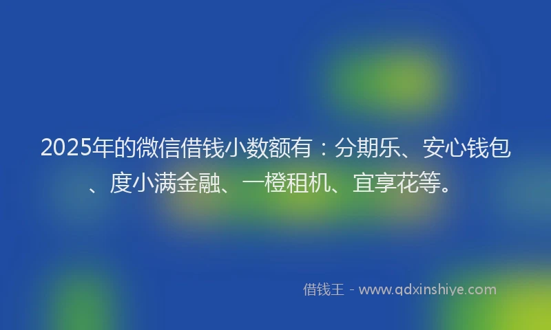 2025年的微信借钱小数额有：分期乐、安心钱包、度小满金融、一橙租机、宜享花等。
